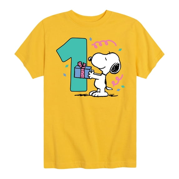 Peanuts - Snoopy and Friends Birthday Toddler and Youth Short Sleeve Graphic T-Shirt, Size 2T-Youth Xl