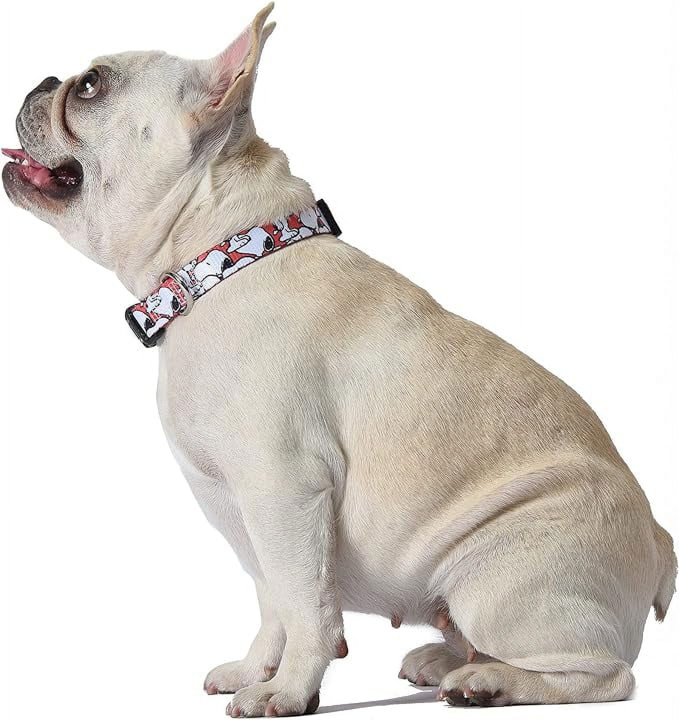 Snoopy collar on sale
