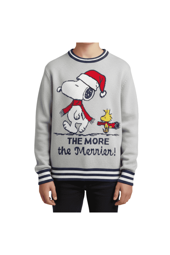 Snoopy Boys Holiday Sweater, Gray, Small (7/8)