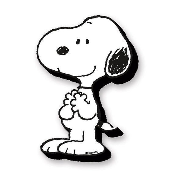 Peanuts Snoopy Funky Chunky Magnet