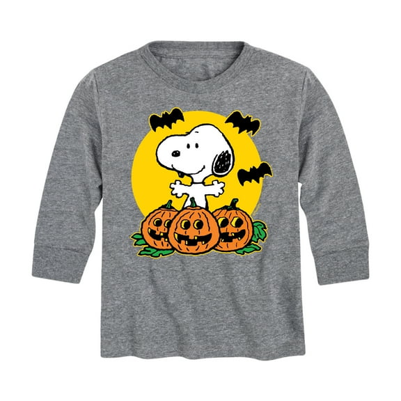 Peanuts - Snoopy Pumpkin Patch - Toddler And Youth Long Sleeve Graphic T-Shirt