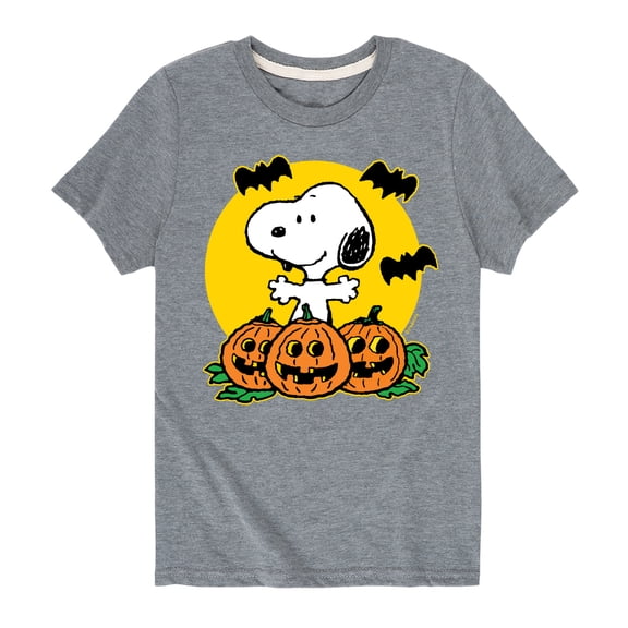 Peanuts - Snoopy Pumpkin Patch - Toddler And Youth Short Sleeve Graphic T-Shirt