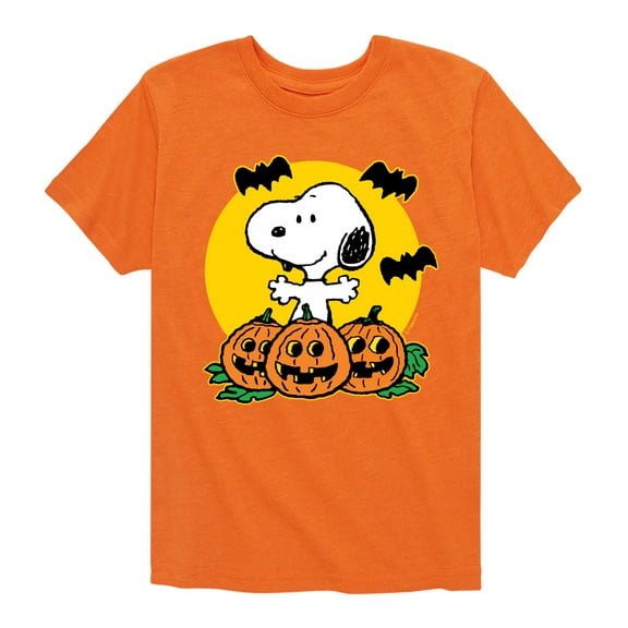 Peanuts - Snoopy Pumpkin Patch - Toddler And Youth Short Sleeve Graphic T-Shirt