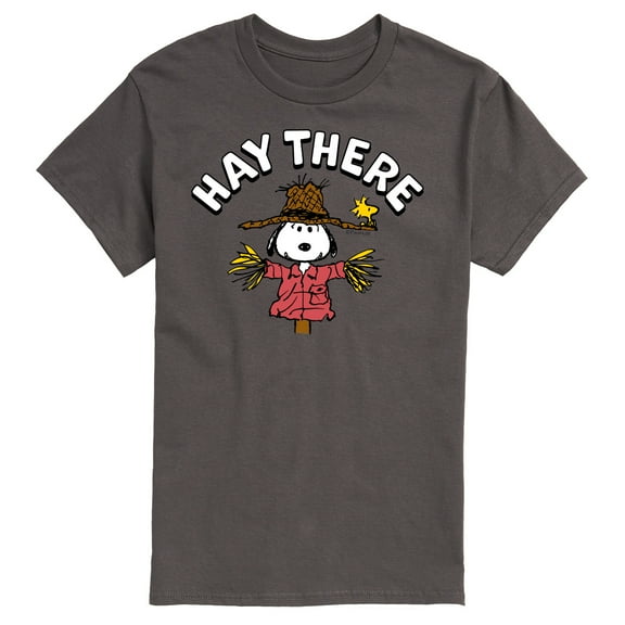 Peanuts - Snoopy Scarecrow Hay There - Men's Short Sleeve Graphic T-Shirt