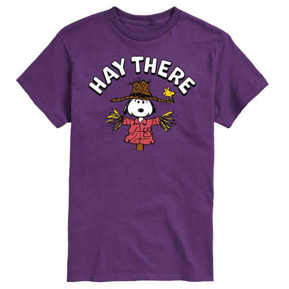 Peanuts - Snoopy Scarecrow Hay There - Men's Short Sleeve Graphic T-Shirt