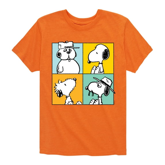 Peanuts - Snoopy Siblings Grid - Toddler And Youth Short Sleeve Graphic T-Shirt
