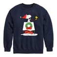 thumbnail image 1 of Peanuts - Snoopy & Woodstock House Sleigh - Toddler And Youth Crewneck Fleece Sweatshirt, 1 of 6