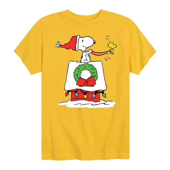 Peanuts - Snoopy & Woodstock House Sleigh - Toddler And Youth Short Sleeve Graphic T-Shirt