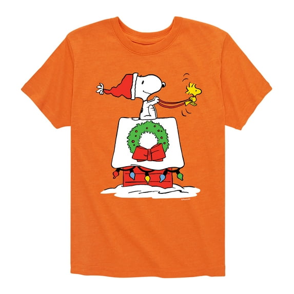 Peanuts - Snoopy & Woodstock House Sleigh - Toddler And Youth Short Sleeve Graphic T-Shirt