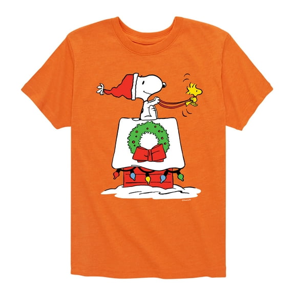 Peanuts - Snoopy & Woodstock House Sleigh - Toddler And Youth Short Sleeve Graphic T-Shirt