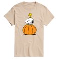 thumbnail image 1 of Peanuts - Snoopy Woodstock Pumpkin - Men's Short Sleeve Graphic T-Shirt, 1 of 6