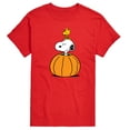 thumbnail image 1 of Peanuts - Snoopy Woodstock Pumpkin - Men's Short Sleeve Graphic T-Shirt, 1 of 6