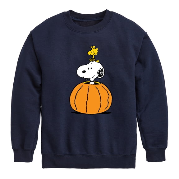 Peanuts - Snoopy Woodstock Pumpkin - Toddler & Youth Crewneck Fleece Sweatshirt