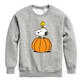 thumbnail image 1 of Peanuts - Snoopy Woodstock Pumpkin - Toddler & Youth Crewneck Fleece Sweatshirt, 1 of 6