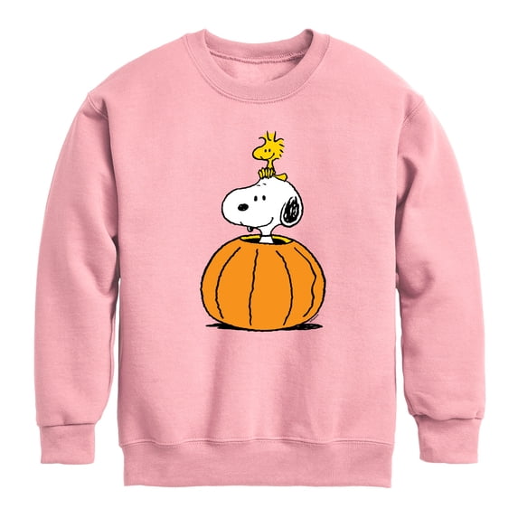Peanuts - Snoopy Woodstock Pumpkin Boys' Graphic Long Sleeve Fleece Sweatshirt