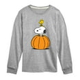 thumbnail image 1 of Peanuts - Snoopy Woodstock Pumpkin - Toddler & Youth Long Sleeve Graphic T-Shirt, 1 of 6