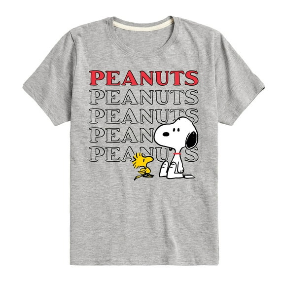 Peanuts - Snoopy Woodstock - Toddler & Youth Short Sleeve Graphic T-Shirt