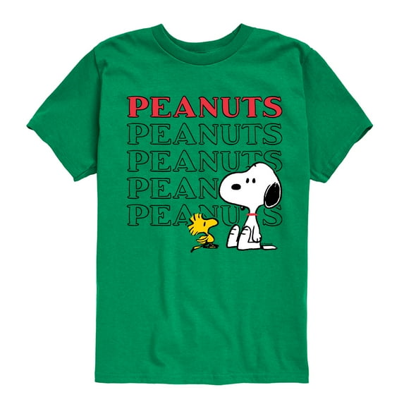 Peanuts - Snoopy Woodstock - Toddler & Youth Short Sleeve Graphic T-Shirt