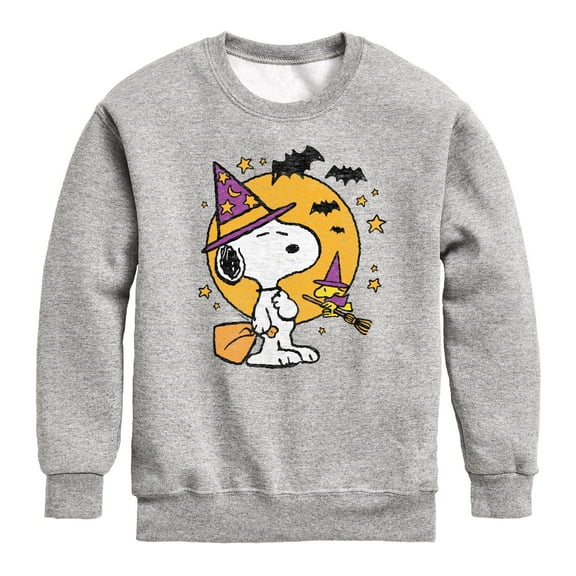 Peanuts - Snoopy Woodstock Witchcraft - Toddler & Youth Crewneck Fleece Sweatshirt