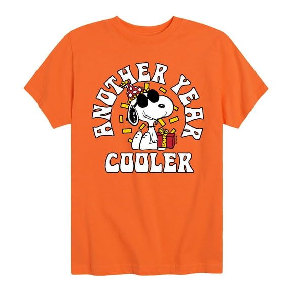 Peanuts - Snoopy and Friends Birthday Toddler and Youth Short Sleeve Graphic T-Shirt, Size 2T-Youth Xl