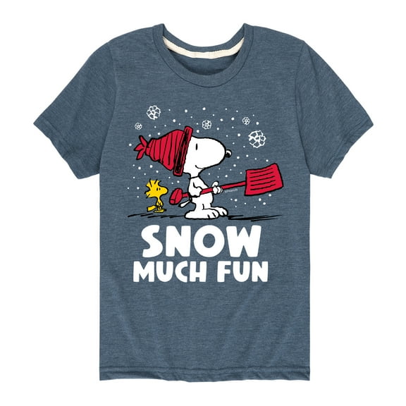 Peanuts - Snoopy and Woodstock Snow Much Fun - Toddler And Youth Short Sleeve Graphic T-Shirt