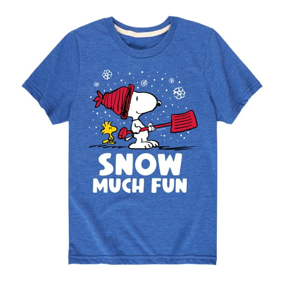 Peanuts - Snoopy and Woodstock Snow Much Fun - Toddler And Youth Short Sleeve Graphic T-Shirt