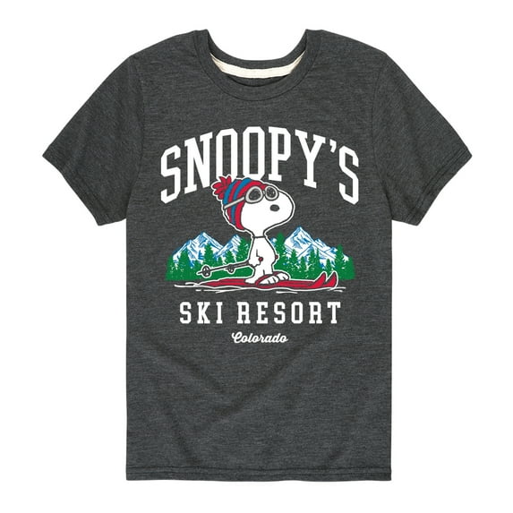 Peanuts - Snoopy's Ski Resort - Toddler And Youth Short Sleeve Graphic T-Shirt