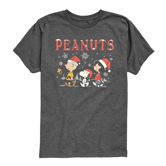Peanuts - Snowflakes Boys' Short Sleeve Graphic T-Shirt