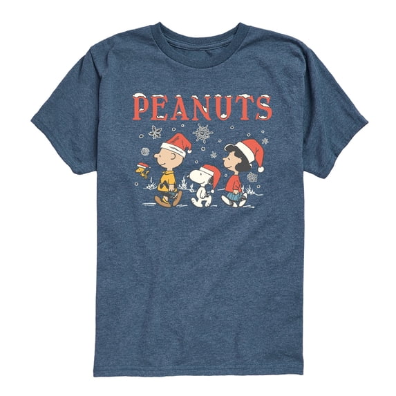 Peanuts - Snowflakes Boys' Short Sleeve Graphic T-Shirt