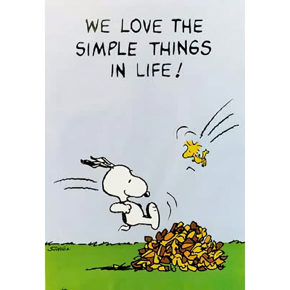 Peanuts - TV Poster (Snoopy & Woodstock: We Love The Simple Things In Life)