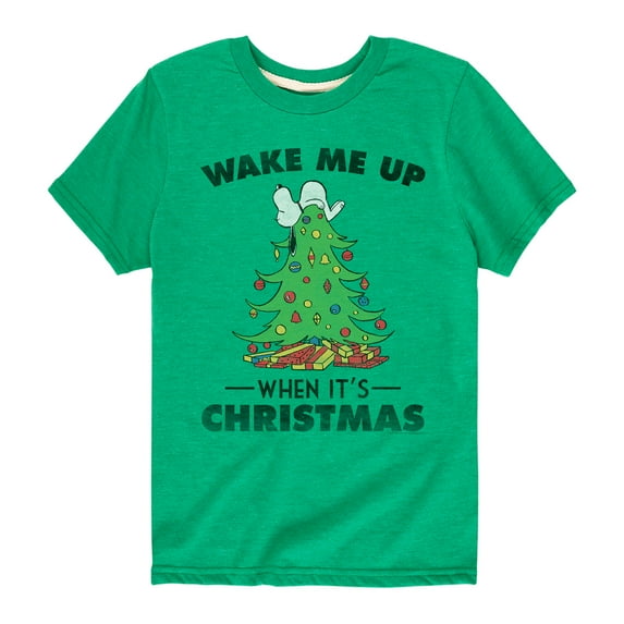 Peanuts - Toddler And Youth Christmas Short Sleeve Graphic T-Shirts