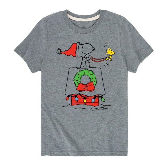 Peanuts - Snoopy and Woodstoch Christmas Sleigh Dog House - Toddler And Youth Short Sleeve Graphic T-Shirts