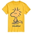 thumbnail image 1 of Peanuts - Woodstock - Men's Short Sleeve Graphic T-Shirt, 1 of 5