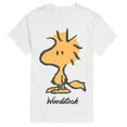 thumbnail image 1 of Peanuts - Woodstock - Men's Short Sleeve Graphic T-Shirt, 1 of 5