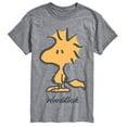 thumbnail image 1 of Peanuts - Woodstock - Men's Short Sleeve Graphic T-Shirt, 1 of 5