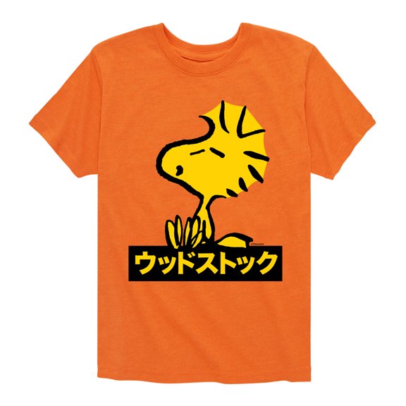Peanuts - Woodstock - Toddler And Youth Short Sleeve Graphic T-Shirt