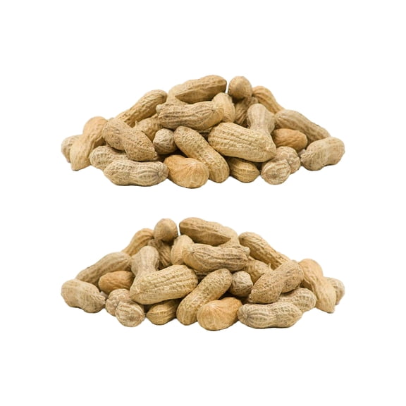 Peanuts in the Shell, 10 lbs.