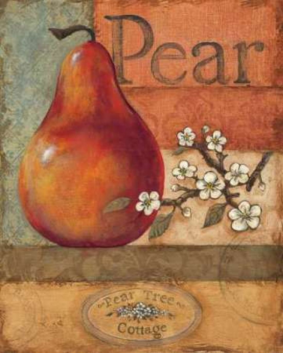 Pear Crate Canvas Art - Gregory Gorham (24 x 30)