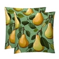 thumbnail image 1 of Pear Exclusive Velvet Throw Pillow Inserts Set of 2 with Unique Patterns - 16x16, 18x18, 20x20 Inches for Pillow Covers and Decorative Pillows for Home, 1 of 6