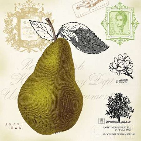 Pear Notes Canvas Art - Studio Mousseau (24 x 24)