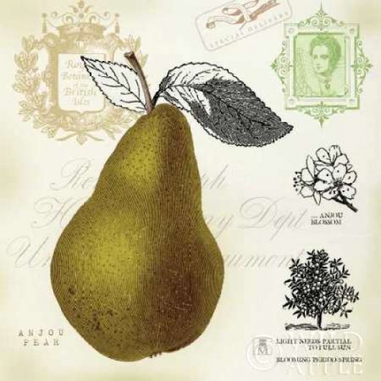Pear Notes Canvas Art - Studio Mousseau (24 x 24)