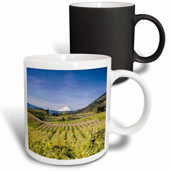 3drose, Pear Orchards Bloom with Mount Adams, Hood River, Oregon, Usa, 11oz Magic Transforming Mug