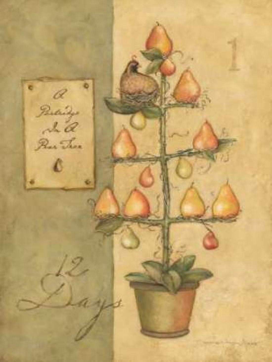 Pear Tree Canvas Art - Stephanie Marrott (18 x 24)