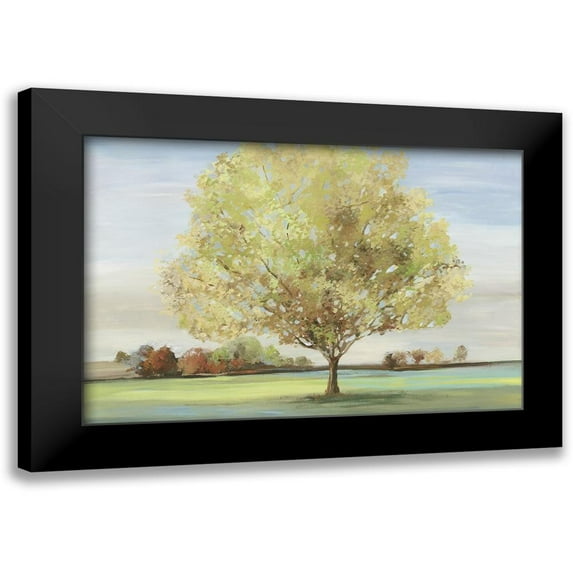 Pearce, Allison 14x11 Black Modern Framed Museum Art Print Titled - Greenery