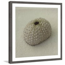 "Pearl Basket" Framed Painting Print