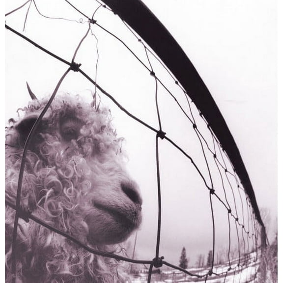 Pearl Jam - PEARL JAM / VS - Music & Performance - Vinyl