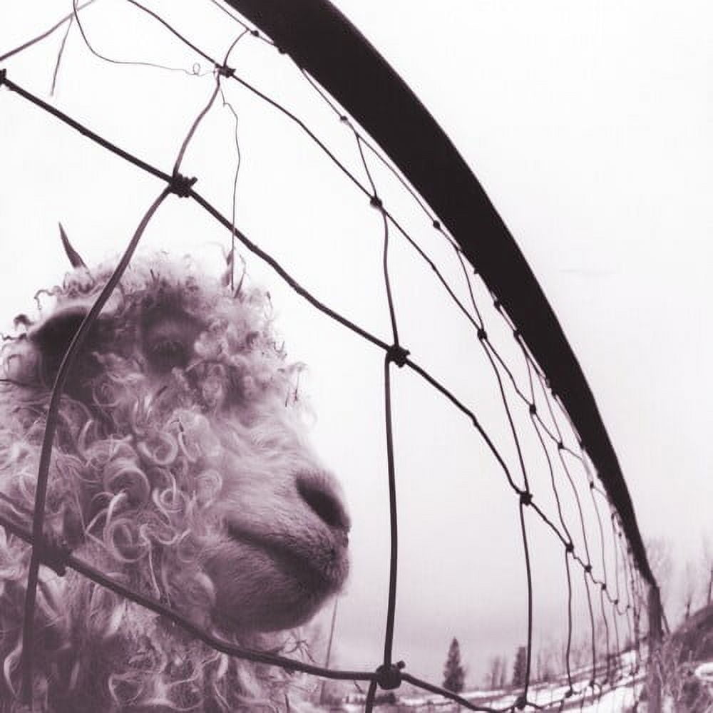 Pearl Jam - Vs. (30th Anniversary Edition) - Music & Performance - Vinyl