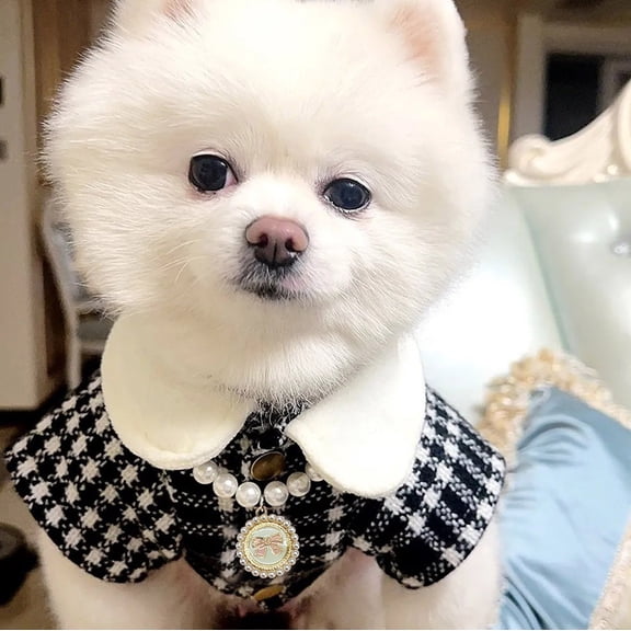 Pearl Necklace Pendant for Fashionable Cats and Dogs Elegant Pet Collar Accessory