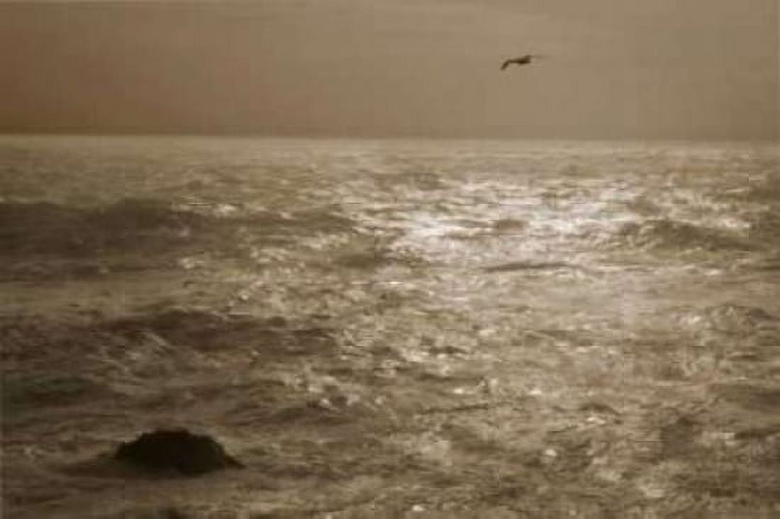 Pearl Ocean Canvas Art - Vitaly Geyman (24 x 36)