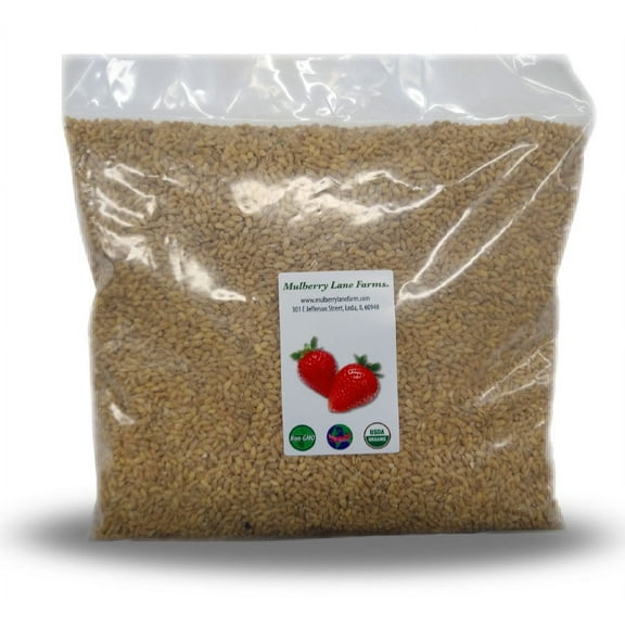 Pearled Barley 10 lbs (Ten Pounds) USDA Certified Organic, Non-GMO, Bulk by Mulberry Lane Farms